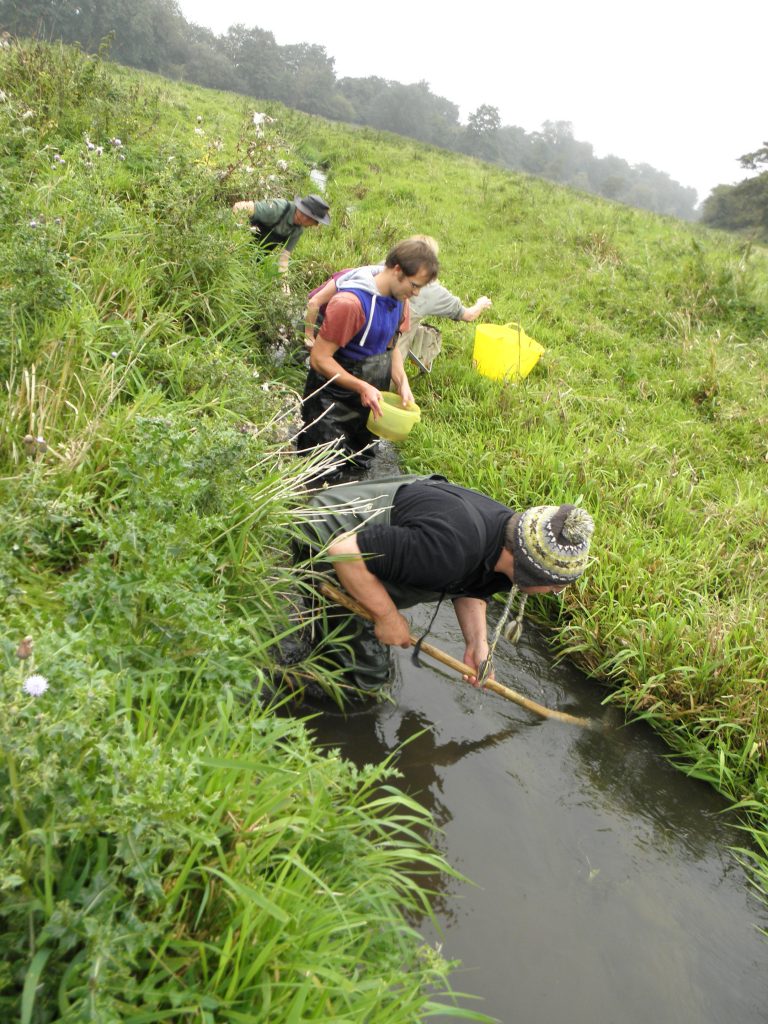A crayfish survey in 2014 with Sayer & Pugh in action