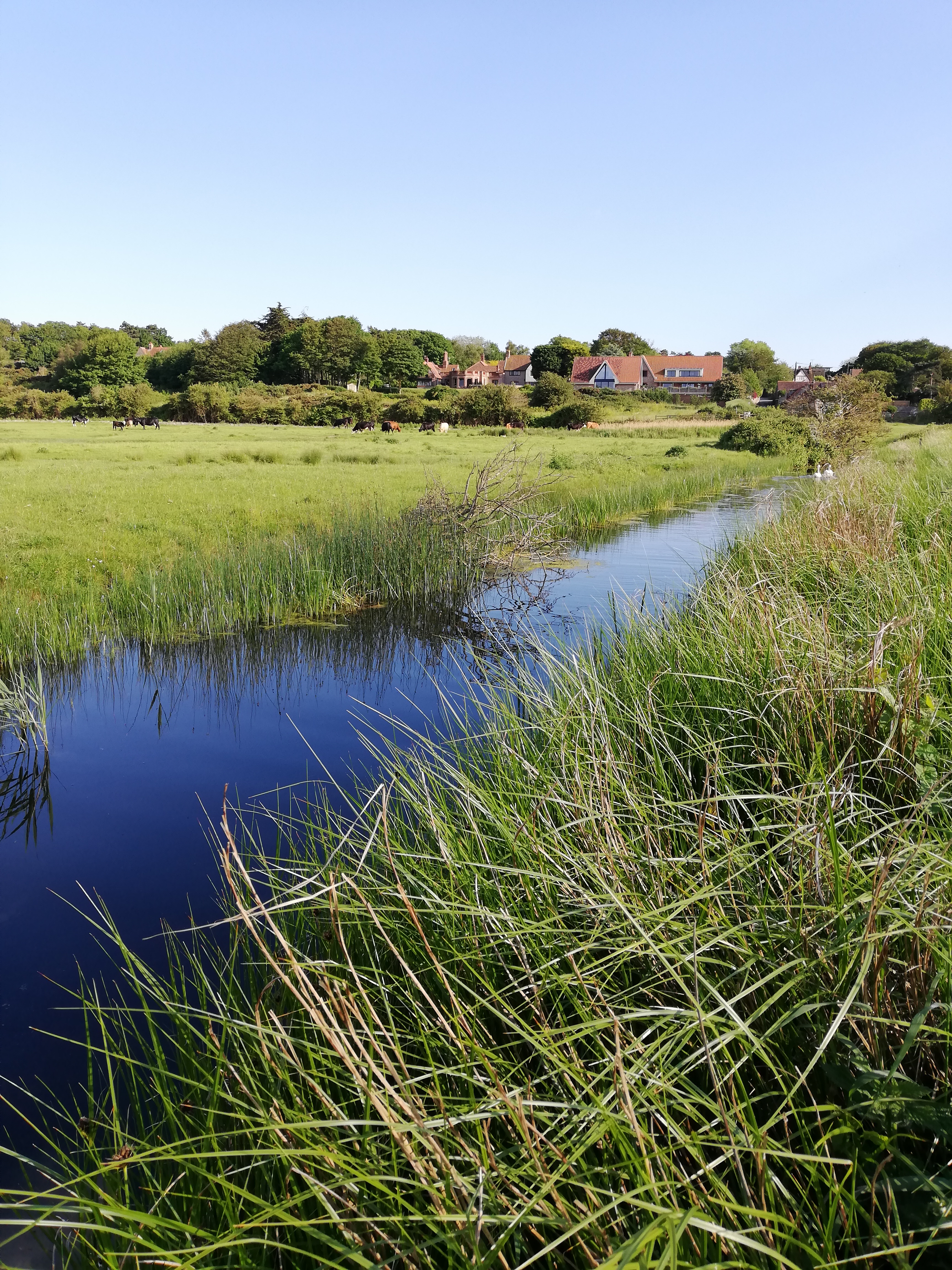 The beautiful Blakeney Freshes